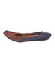 Lanvin Printed Ballet Flats