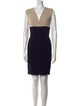 Lanvin V-Neck Mini Dress