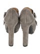 Lanvin Suede Pumps