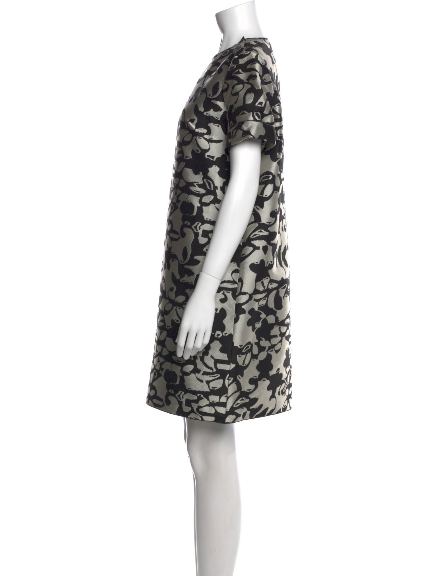 Lanvin Printed Mini Dress
