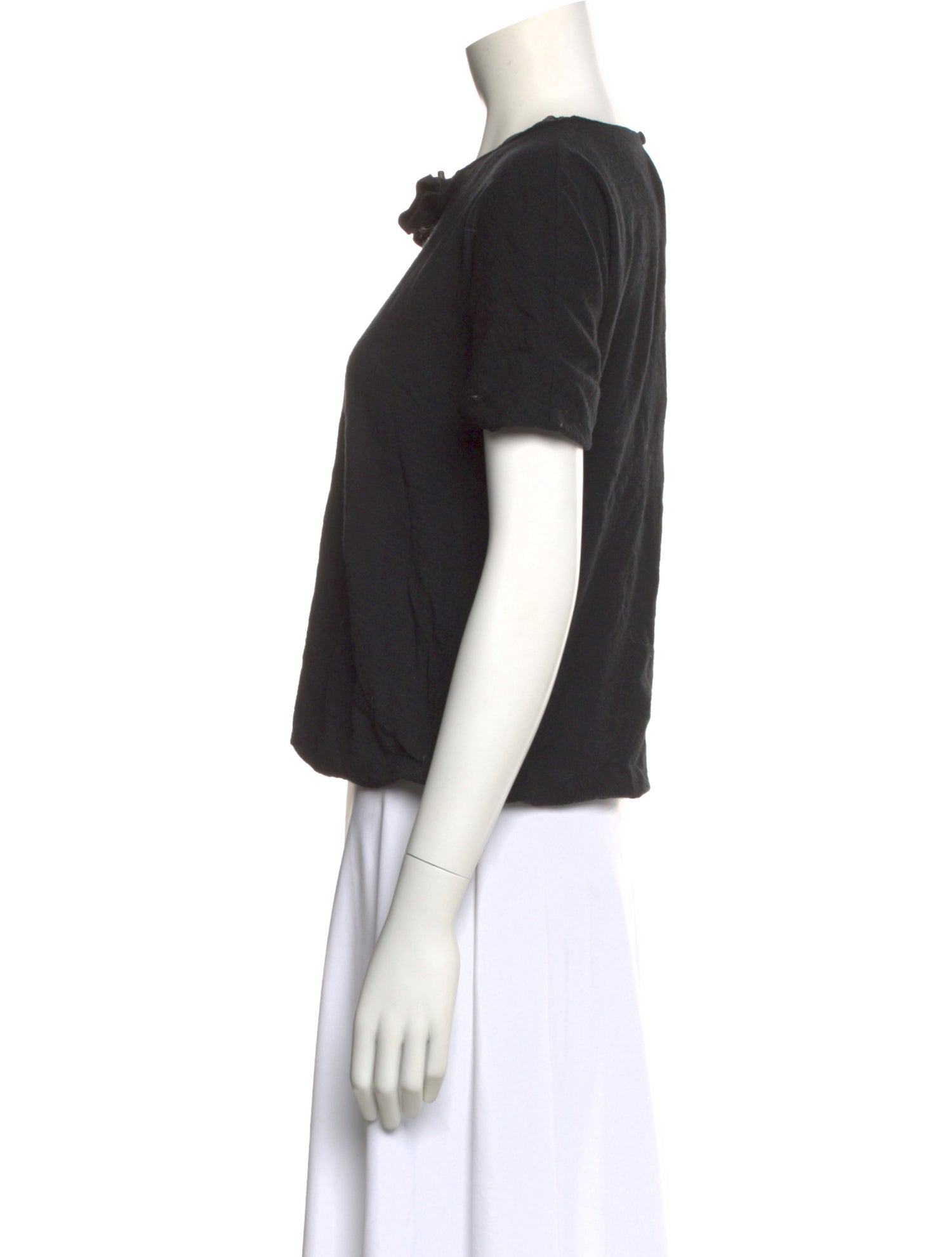 Lanvin Crew Neck Short Sleeve Crop Top