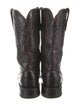 Lucchese Ostrich Embroidered Accent Western Boots