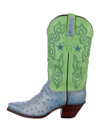 Lucchese Leather Printed Western Boots