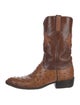 Lucchese Ostrich Western Boots