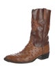Lucchese Ostrich Western Boots