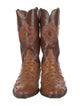 Lucchese Ostrich Western Boots