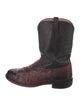 Lucchese Ostrich Printed Western Boots