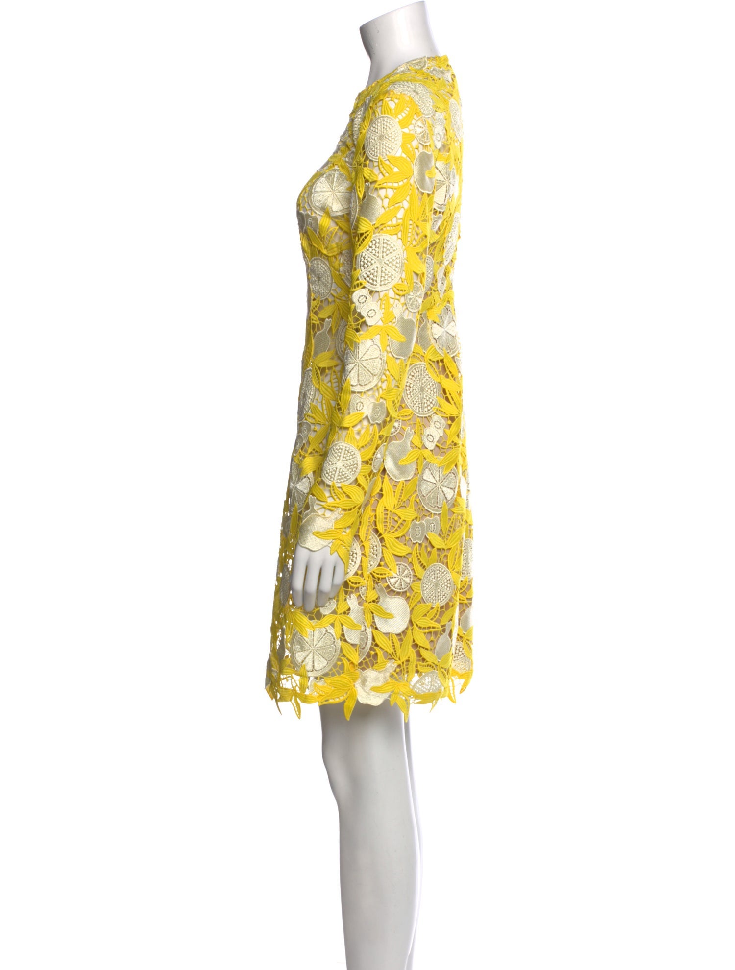 Lela Rose Lace Pattern Mini Dress