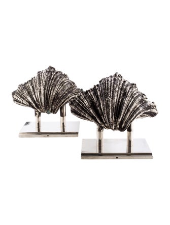 Light Fixture Jonathan Browning Shell Sconces