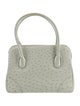 Lana Marks Ostrich Top Handle Bag