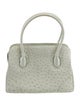 Lana Marks Ostrich Top Handle Bag