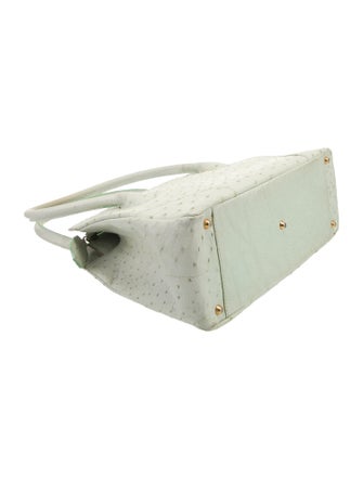 Lana Marks Ostrich Top Handle Bag