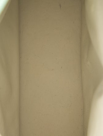 Lana Marks Ostrich Top Handle Bag