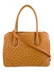 Lana Marks Ostrich Top Handle Bag