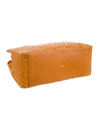 Lana Marks Ostrich Top Handle Bag