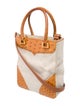 Lana Marks Canvas Top Handle Bag