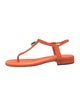 Loro Piana Mindil Suede T-Strap Sandals