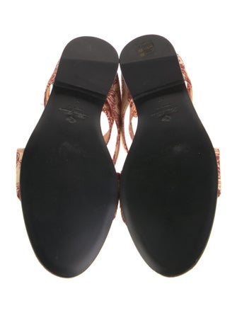 Loro Piana Canvas Floral Print Gladiator Sandals