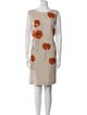 Loro Piana Printed Mini Dress