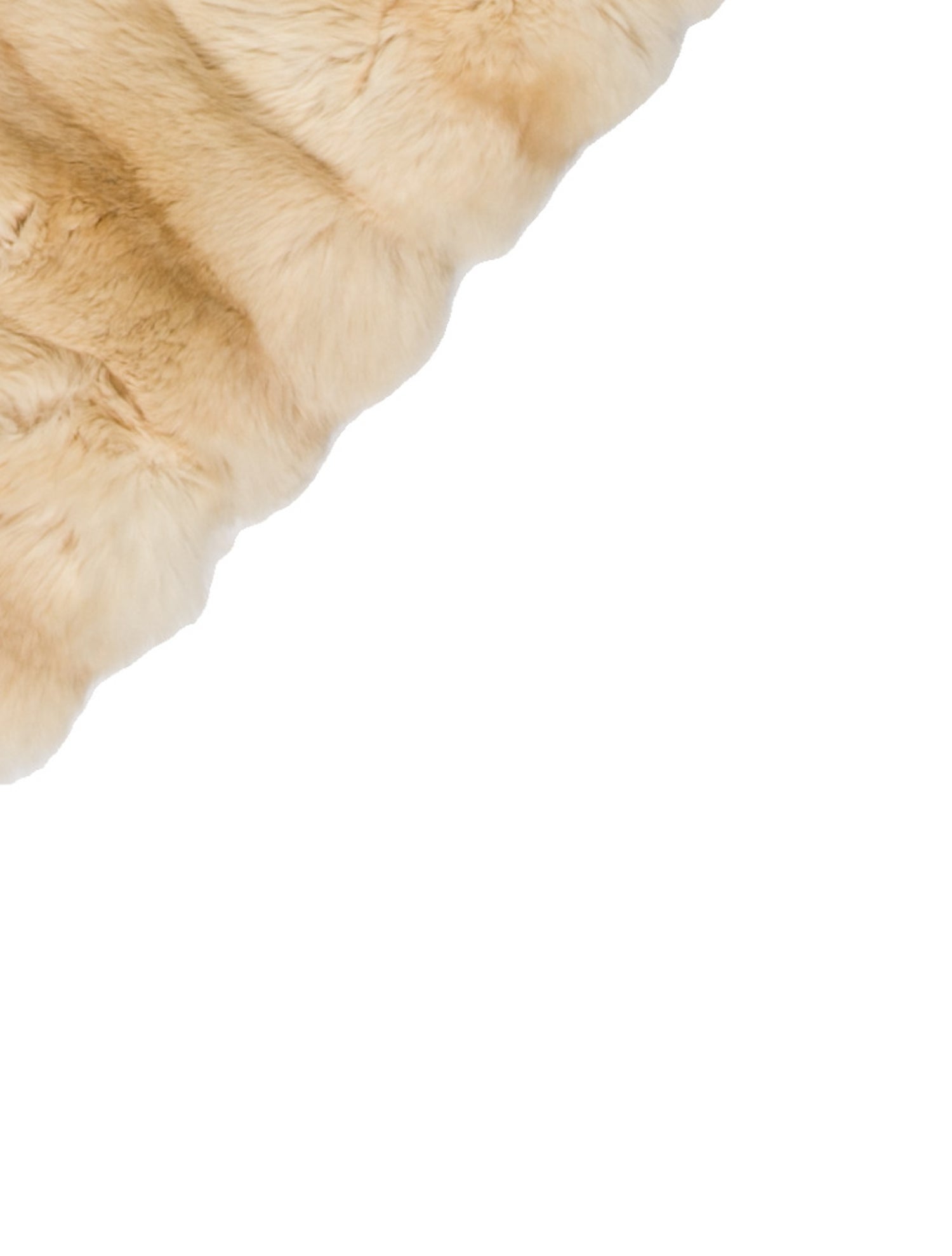 Loro Piana Chinchilla Scarf