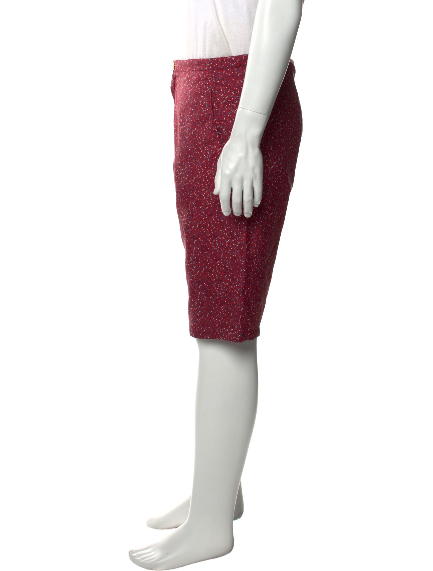 Louis Vuitton Printed Swim Trunks