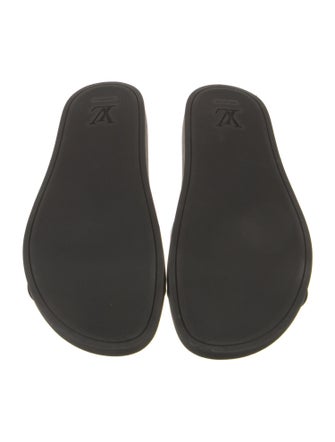 Louis Vuitton LV Monogram Slides