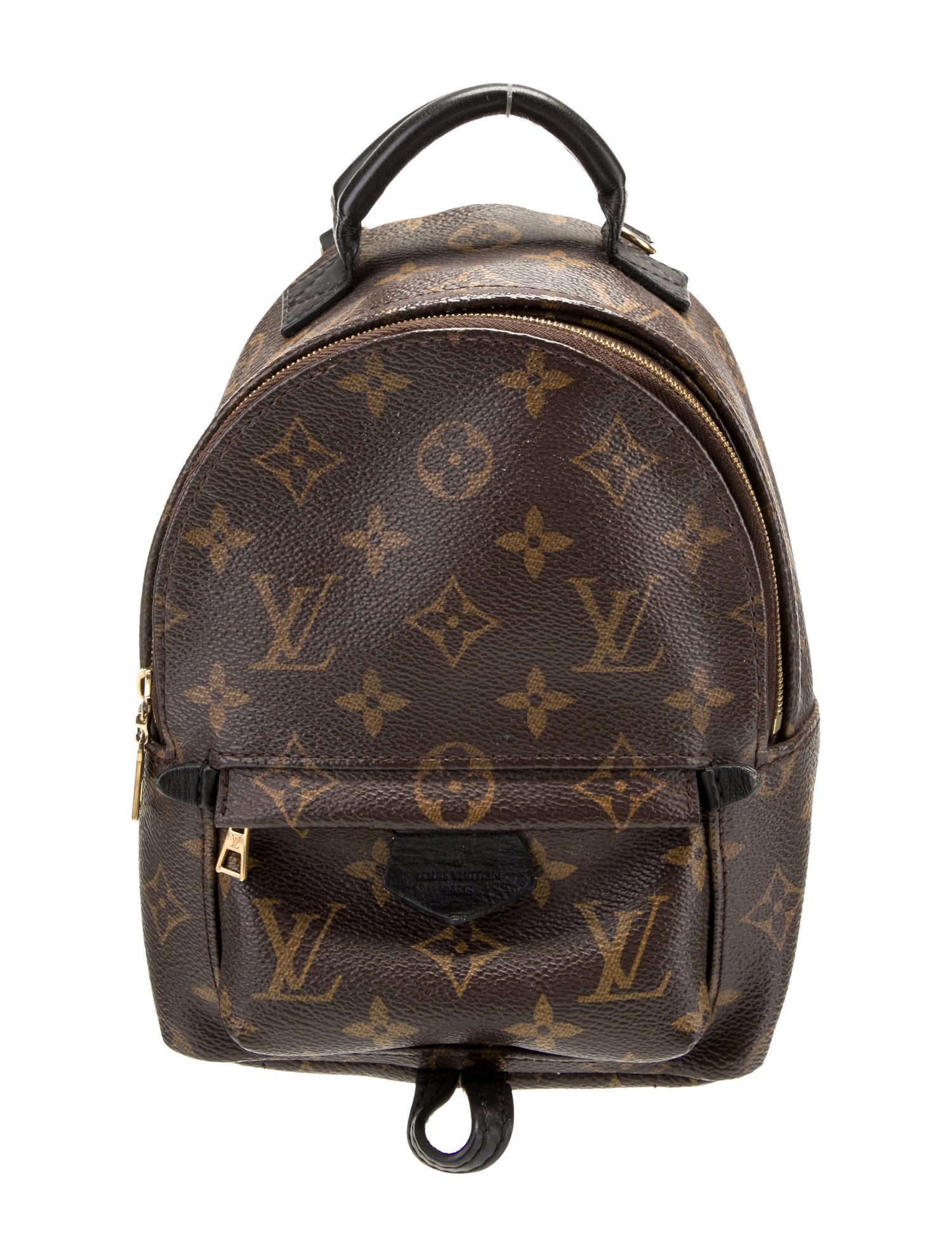 Louis Vuitton Monogram Palm Springs Mini