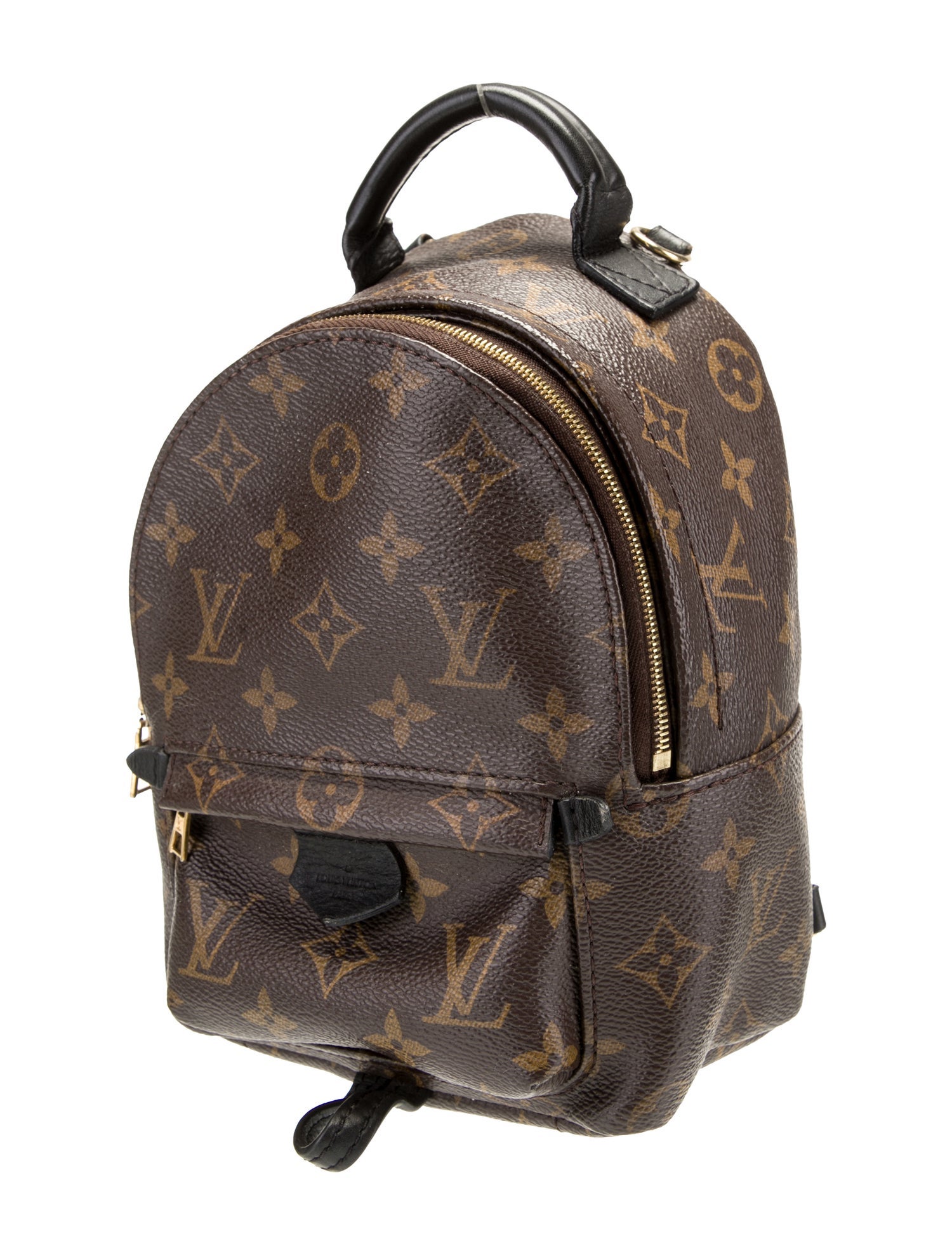 Louis Vuitton Monogram Palm Springs Mini