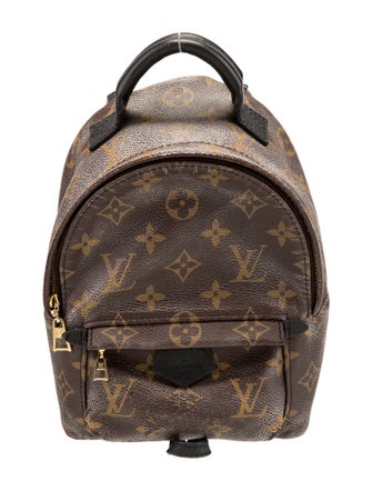 Louis Vuitton LV Monogram Palm Springs Mini