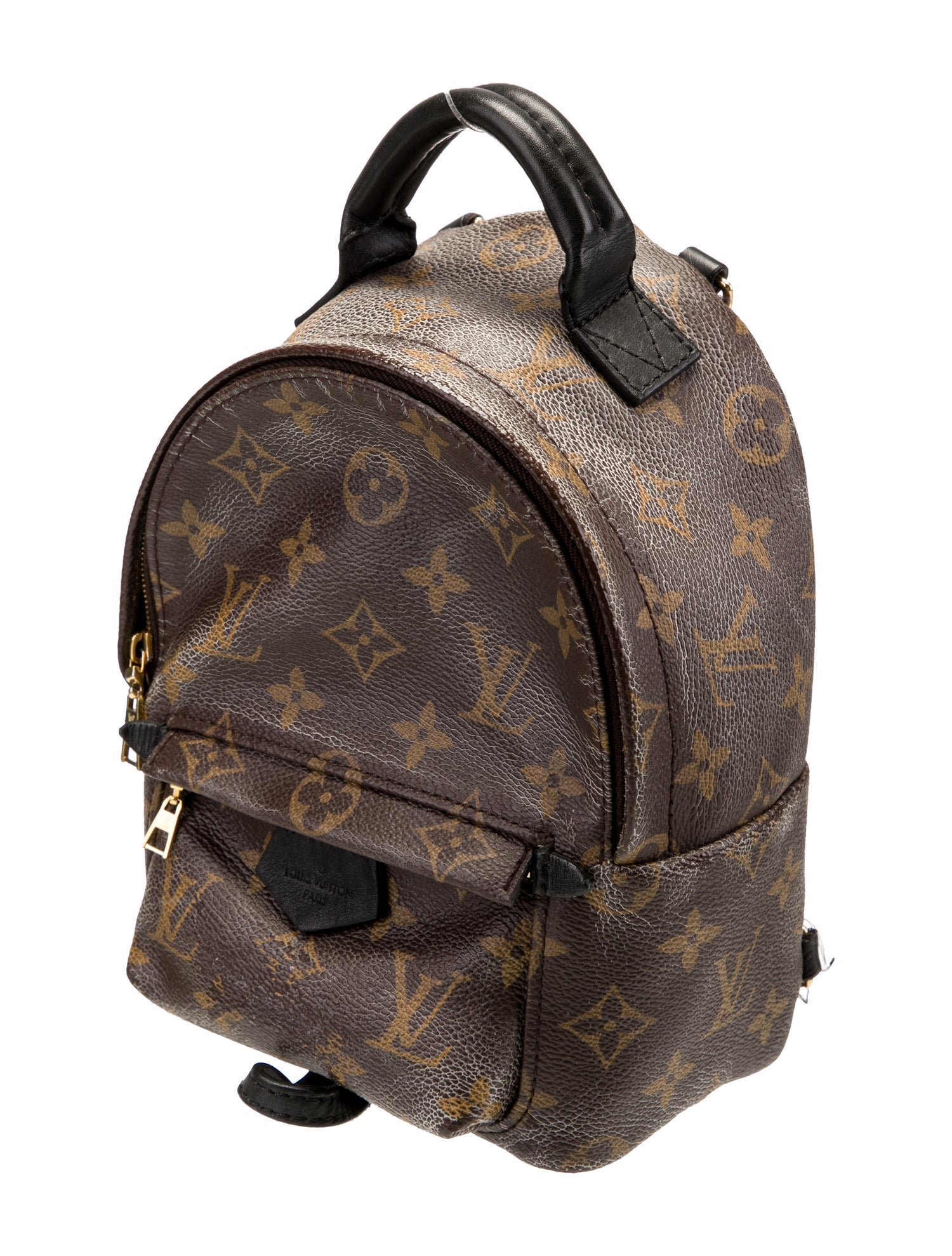 Louis Vuitton LV Monogram Palm Springs Mini