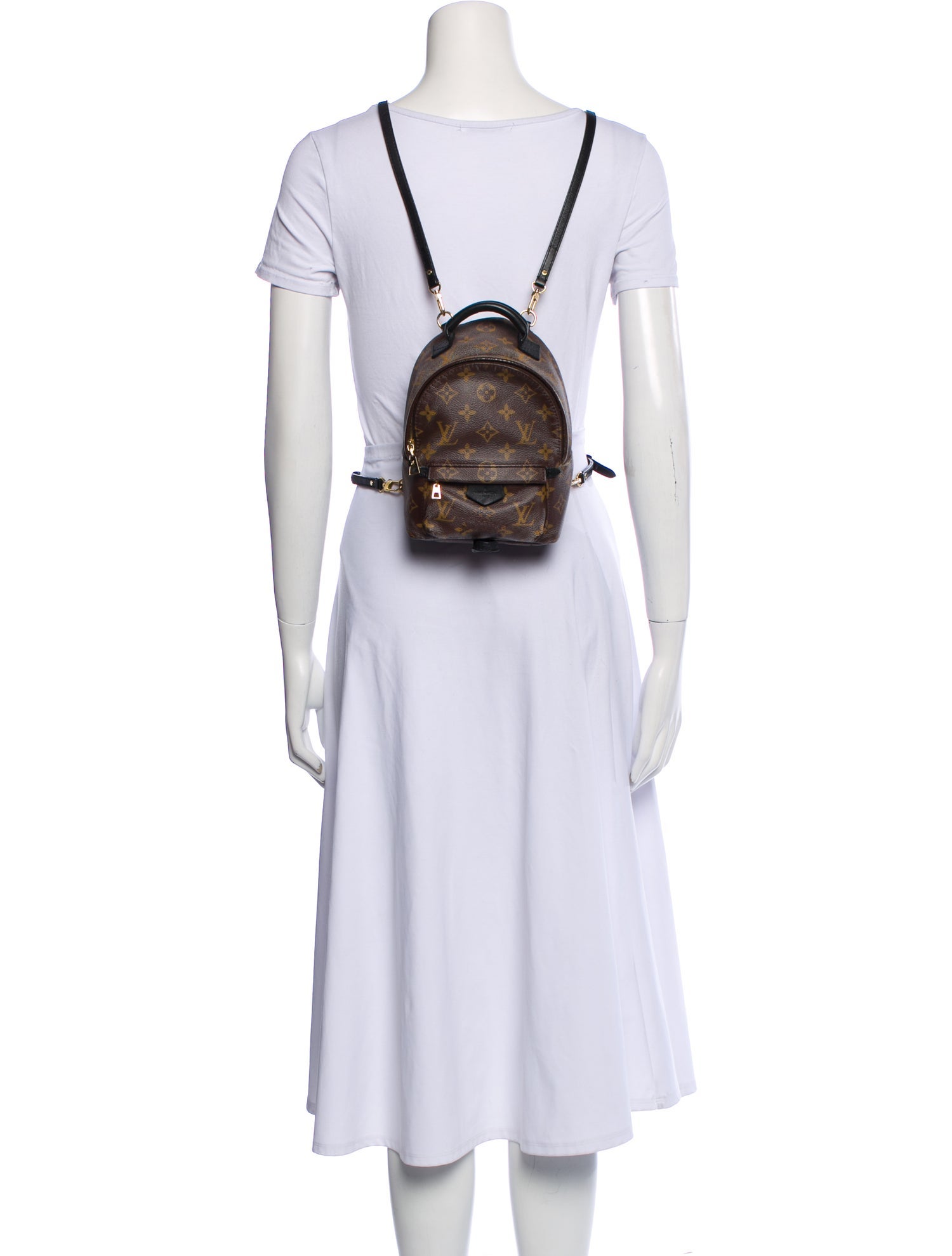 Louis Vuitton LV Monogram Palm Springs Mini