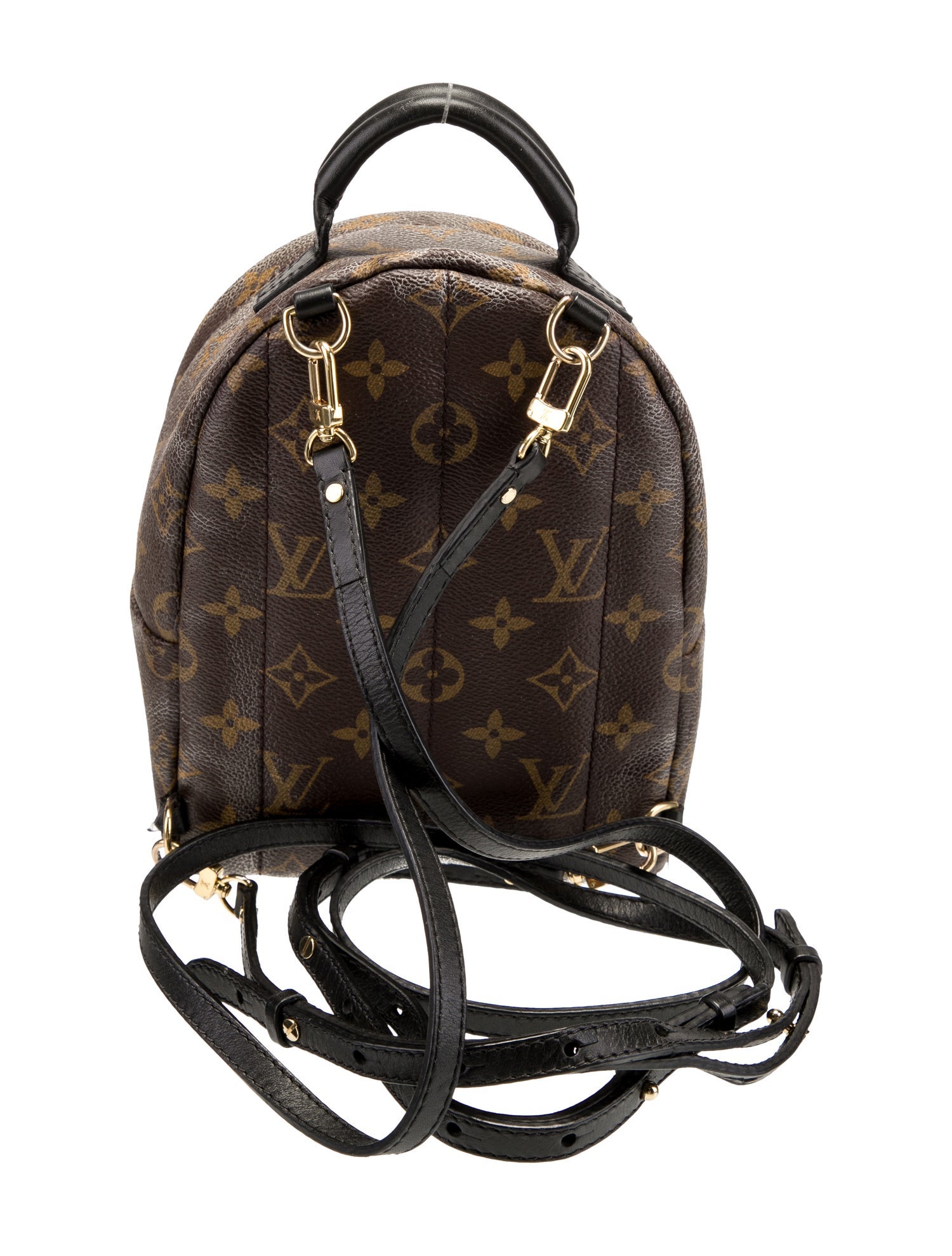 Louis Vuitton LV Monogram Palm Springs Mini