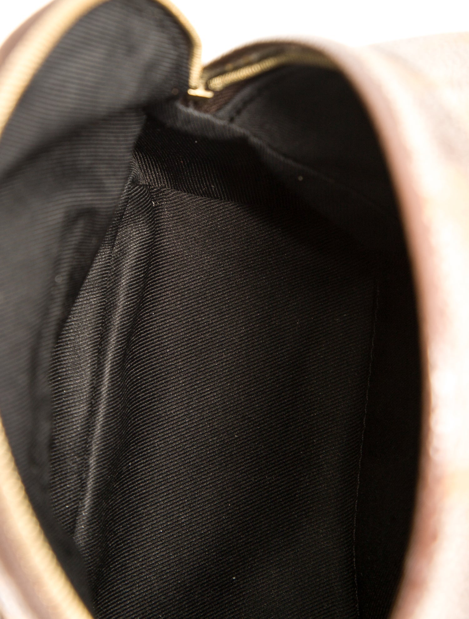 Louis Vuitton LV Monogram Palm Springs Mini