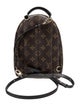 Louis Vuitton Coated Canvas Palm Springs Mini