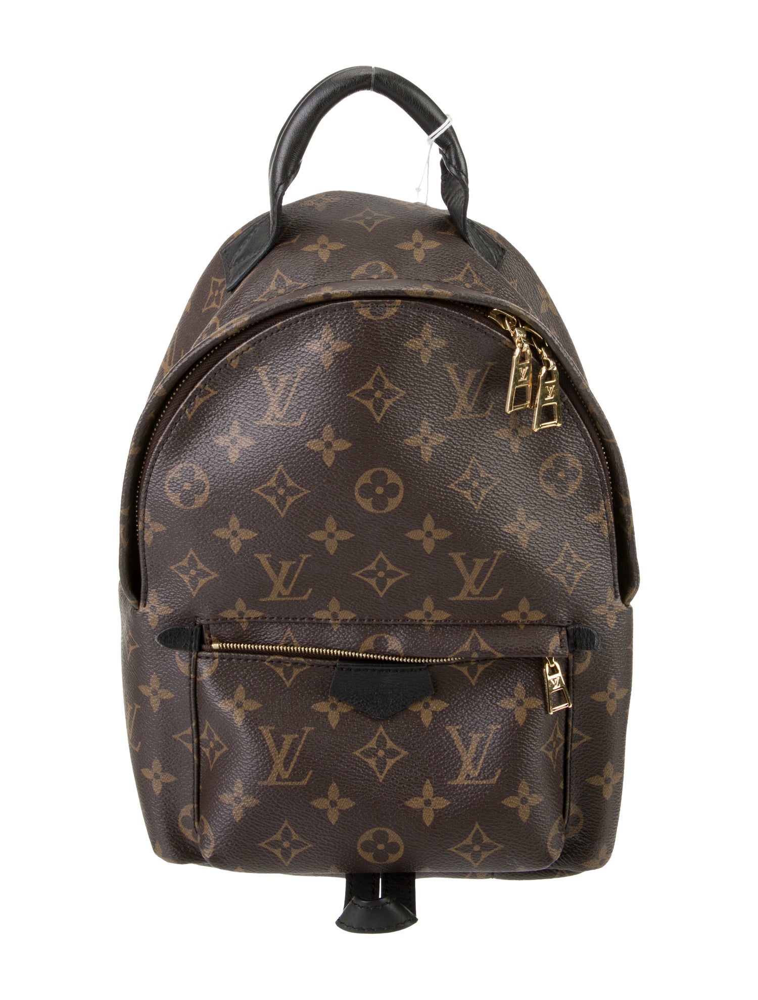 Louis Vuitton LV Monogram Palm Springs MM