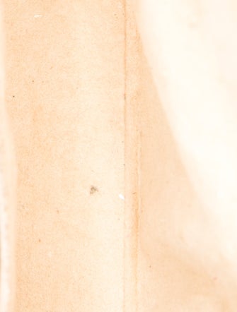 Louis Vuitton LV Monogram Pochette Lagoon