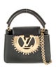 Louis Vuitton LV Monogram Capucines Mini