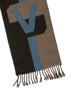 Louis Vuitton Wool Striped Scarf