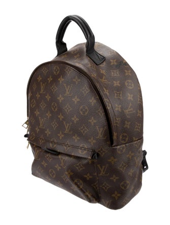 Louis Vuitton LV Monogram Palm Springs MM