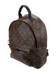 Louis Vuitton LV Monogram Palm Springs MM