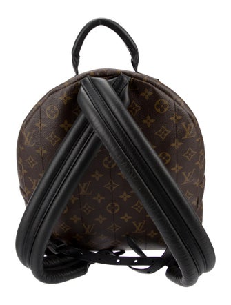 Louis Vuitton LV Monogram Palm Springs MM