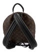 Louis Vuitton LV Monogram Palm Springs MM