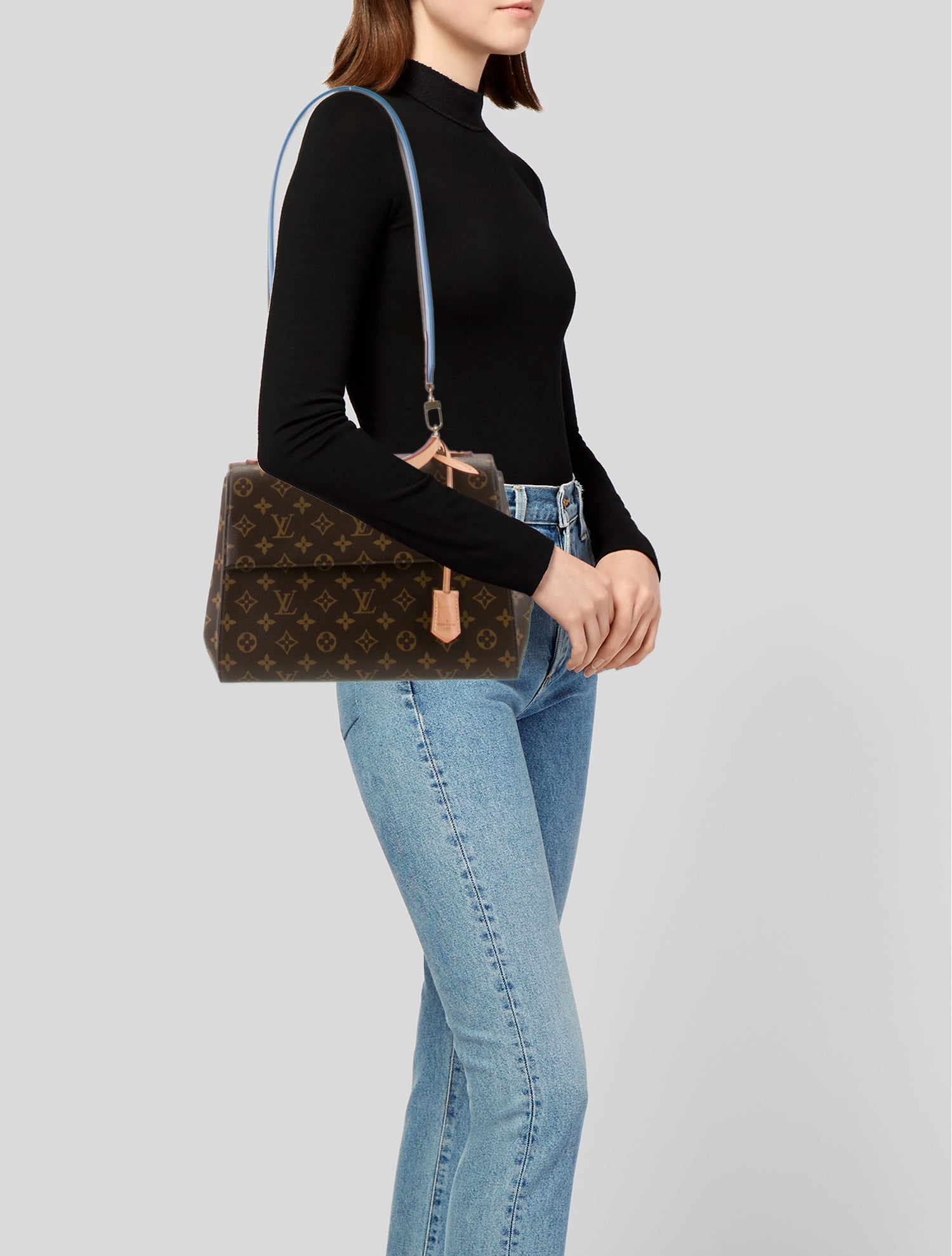 Louis Vuitton LV Monogram Cluny MM