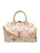 Louis Vuitton Monogram Giant Speedy 20