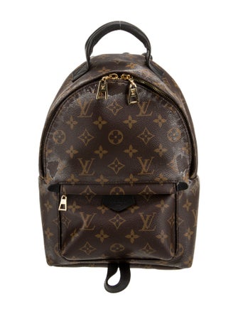 Louis Vuitton LV Monogram Palm Springs PM