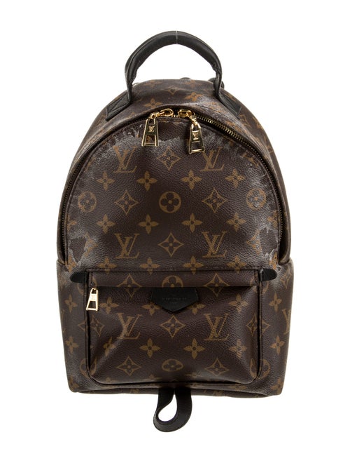 Louis Vuitton LV Monogram Palm Springs PM