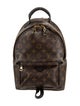 Louis Vuitton LV Monogram Palm Springs PM