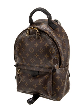 Louis Vuitton LV Monogram Palm Springs PM