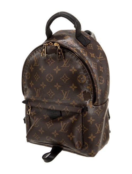 Louis Vuitton LV Monogram Palm Springs PM