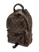Louis Vuitton LV Monogram Palm Springs PM
